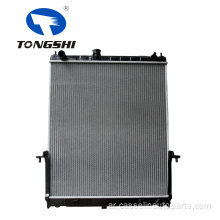 Automotive Radiator OEM 21460 لنيسان صفاي 07